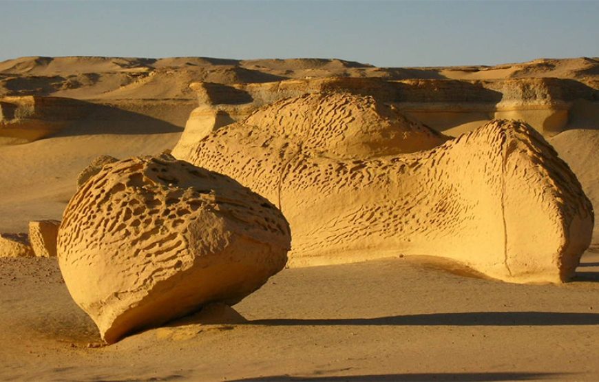 Day Tour to El Fayoum from Cairo